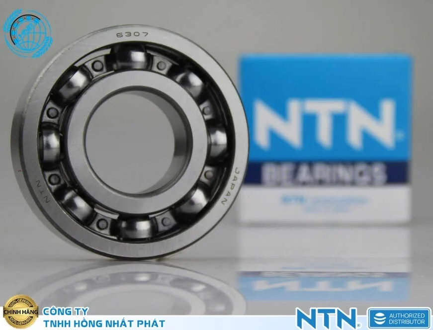 Bạc Đạn NTN Tại Quận Bình Tân HCM - Đại Lý Chính Thức df (1)