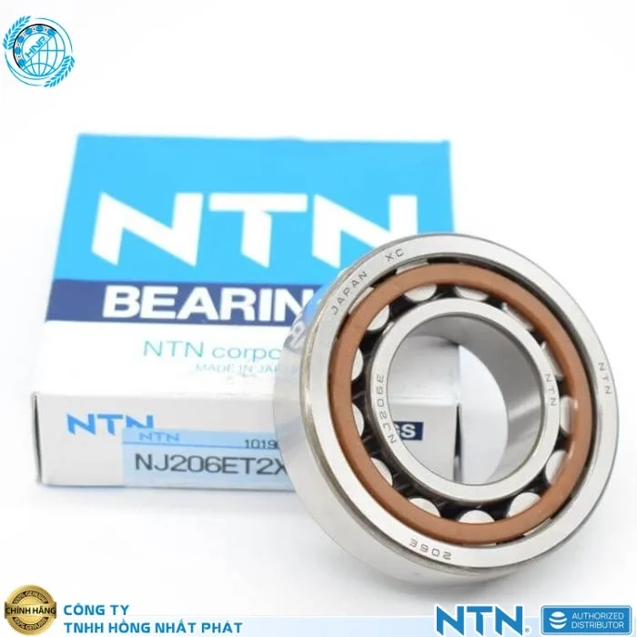 Bạc Đạn NTN Tại Quận Bình Tân HCM - Đại Lý Chính Thức df (2)