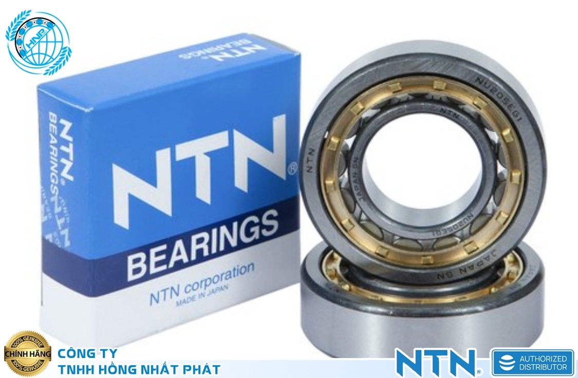 ntn hong nhat phat-1-7033